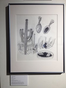Saguaro-drawing