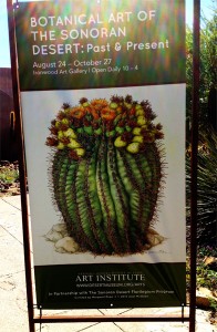 Sonora Desert Museum